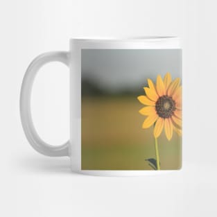 Kansas Wild Sunflower with a green background with sky. Mug